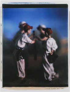 Image description is not available for 2013.118